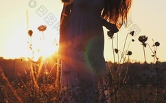 千禧金瓶梅 快播